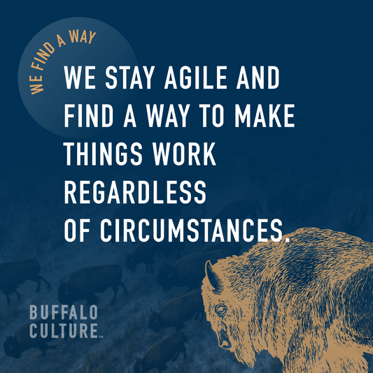 Buffalo Culture Card Set