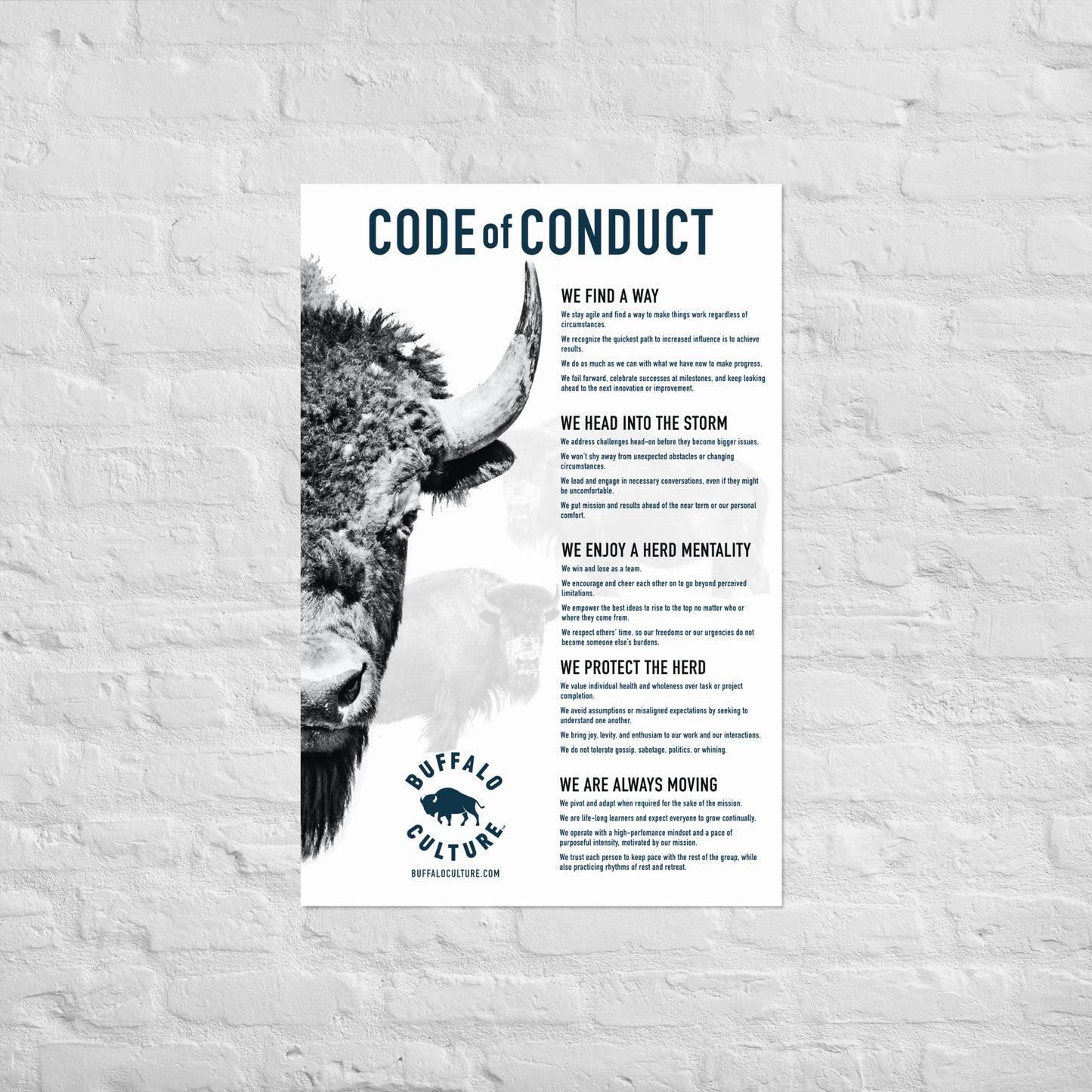 Code of Conduct - Buffalo Closeup Poster (24x36)