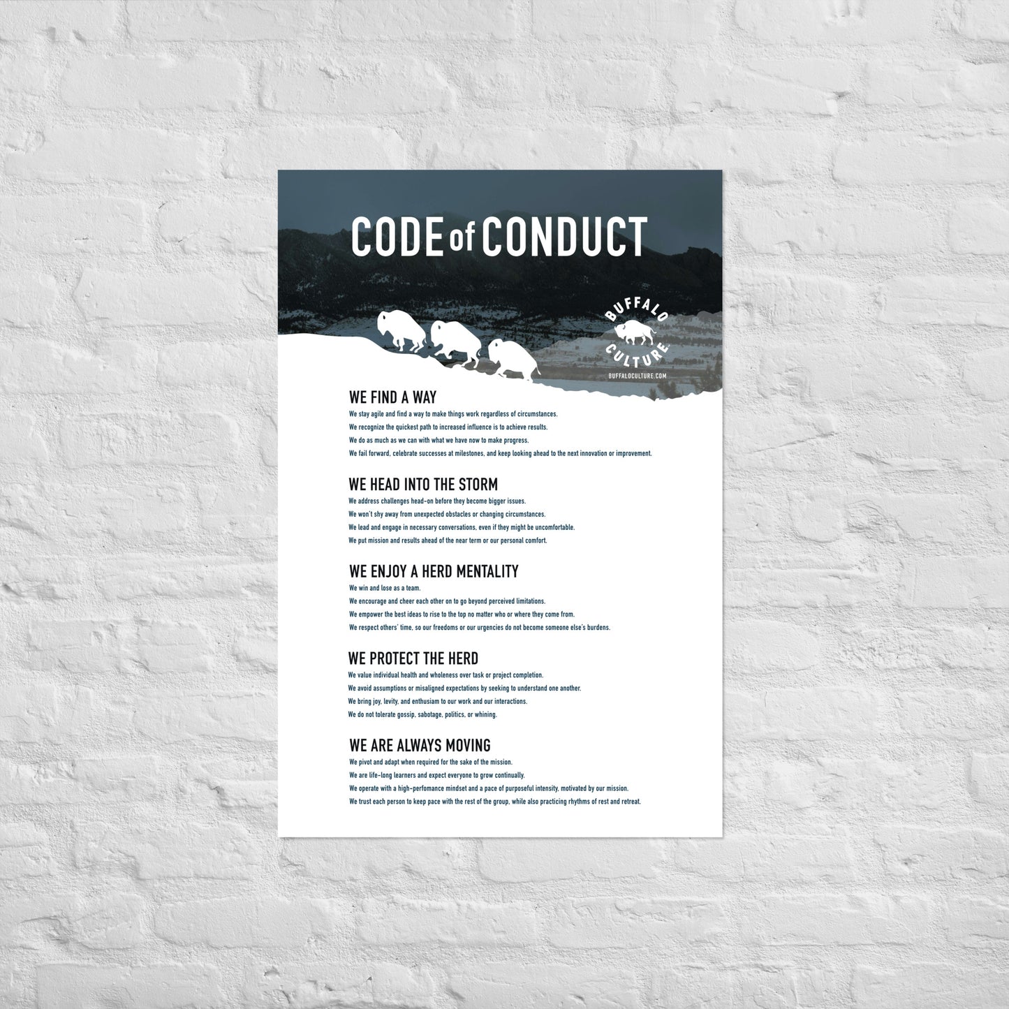 Code of Conduct - 3 Buffalo (24x36)